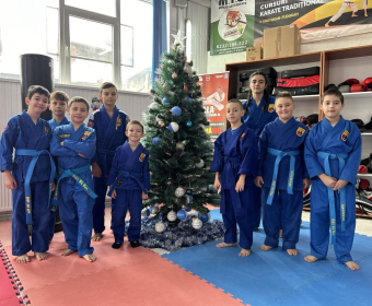 Vovinam Phuong Romania